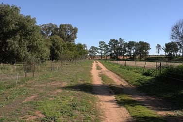 199 Innisvale Road Euroley NSW 2700 - Image 1