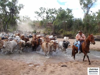 Conjuboy QLD 4816 - Image 1