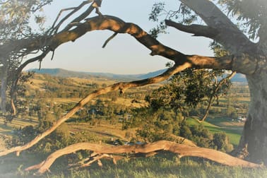 Lots 2, 15 &18 Paterson River Road Gresford NSW 2311 - Image 3