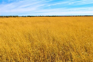 0 Plain Farm Roma QLD 4455 - Image 2