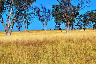 0 Plain Farm Roma QLD 4455 - Image 3