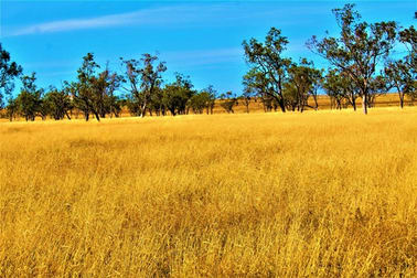 0 Plain Farm Roma QLD 4455 - Image 1