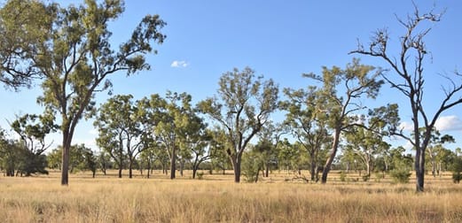 40565 Landsborough Highway Barcaldine QLD 4725 - Image 1