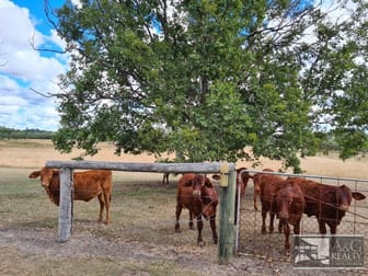 Click to view all images 130 Pioneer Rd Grahams Creek QLD 4650 - Image 3