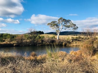4687 Cooma Rd Braidwood NSW 2622 - Image 1
