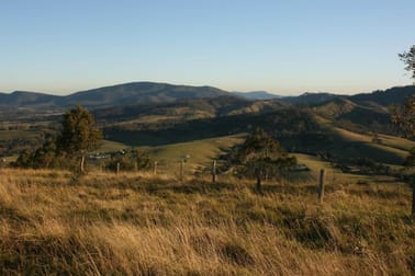 Lot 19 Paterson River Road Gresford NSW 2311 - Image 3
