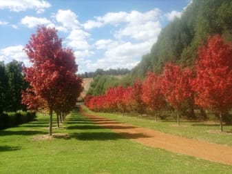 264 Southampton Road Balingup WA 6253 - Image 1