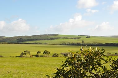 Lot 1 Charlton Gully Road Charlton Gully SA 5607 - Image 2