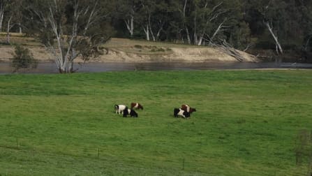 5455 River Road Talmalmo NSW 2640 - Image 2