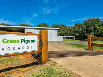 702 Green Pigeon Road Green Pigeon NSW 2474 - Image 1
