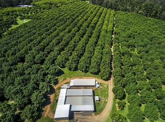 702 Green Pigeon Road Green Pigeon NSW 2474 - Image 2