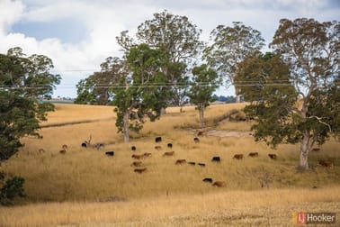 124A Mogilla Road Candelo NSW 2550 - Image 2