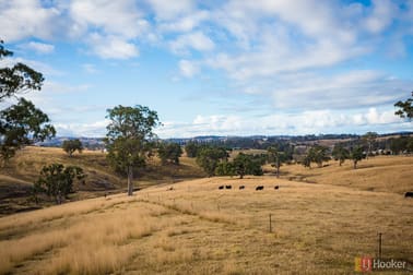 124A Mogilla Road Candelo NSW 2550 - Image 3