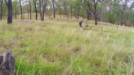 262 Hendrie Road Upper Pilton QLD 4361 - Image 3