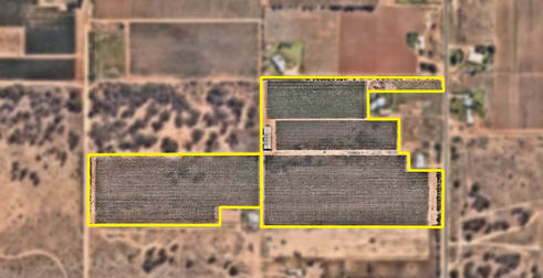2, 230 White Cliff Avenue Mildura VIC 3500 - Image 1
