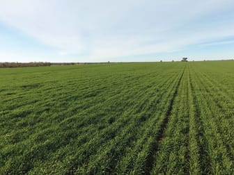 1361 "Boxdale" Carlisle Road Condobolin NSW 2877 - Image 1