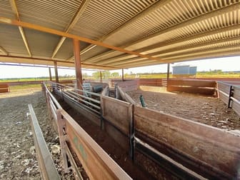 1361 "Boxdale" Carlisle Road Condobolin NSW 2877 - Image 3