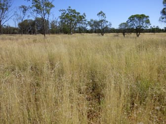 'OUIDA' 9142 Adavale Road Langlo QLD 4470 - Image 1