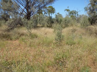 'OUIDA' 9142 Adavale Road Langlo QLD 4470 - Image 2