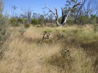 'OUIDA' 9142 Adavale Road Langlo QLD 4470 - Image 3