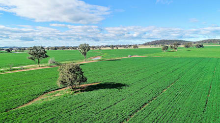 44 Tillings Lane Wellington NSW 2820 - Image 1