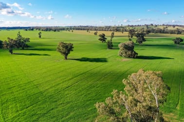 'Truro'/780 Spurrells Rd Pleasant Hills NSW 2658 - Image 1