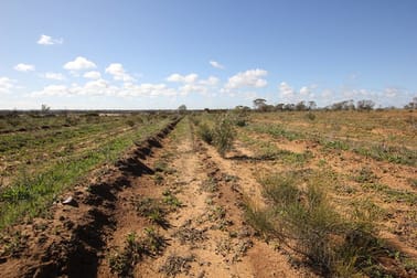 18016 & 22064 Goldfields Road Hines Hill WA 6413 - Image 3