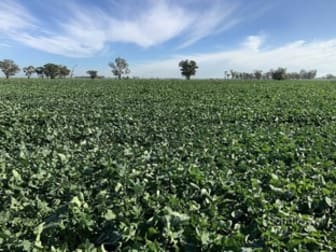 . Sunriver Narromine NSW 2821 - Image 1