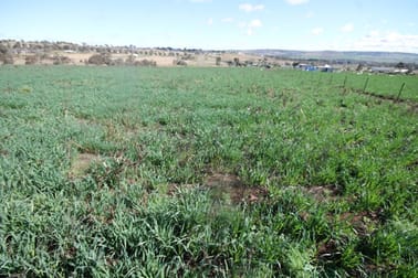 43-59 PRICES LANE Merriwa NSW 2329 - Image 1