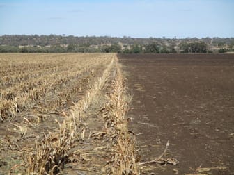 Click to view all images 240 ACRES GRAIN & GRAZING Bell QLD 4408 - Image 3