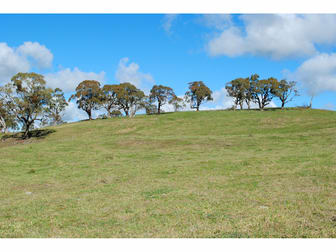 'Longview' 4925 Mitchell Highway Orange NSW 2800 - Image 2