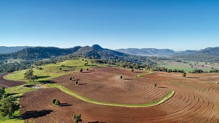 TRYALION 6280 Bylong Valley Way Budden NSW 2849 - Image 1