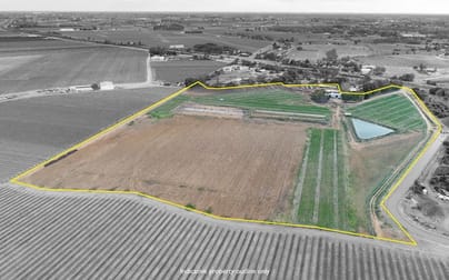 9214 Calder Highway Irymple VIC 3498 - Image 1
