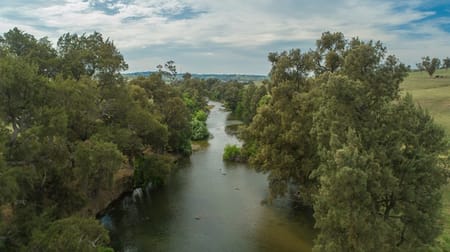 "Loloma"/127 Surveyors Creek Rd Walcha NSW 2354 - Image 3