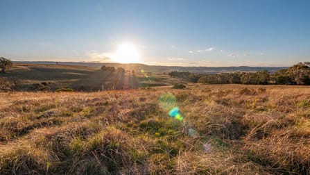 11279 Oxley Highway Yarrowitch NSW 2354 - Image 2