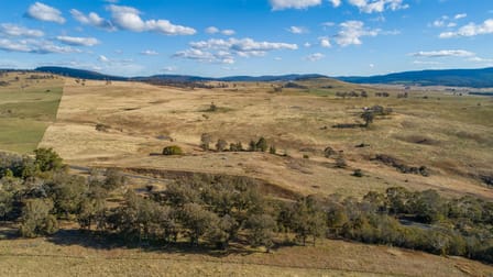 11279 Oxley Highway Yarrowitch NSW 2354 - Image 3