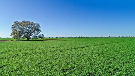 Coonamble NSW 2829 - Image 1