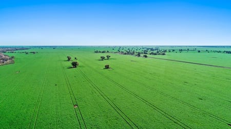 Coonamble NSW 2829 - Image 2