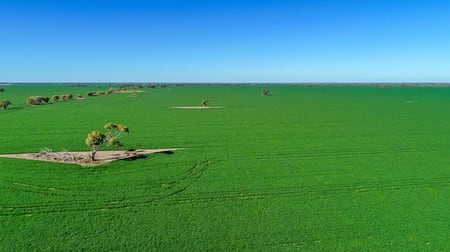 Coonamble NSW 2829 - Image 3