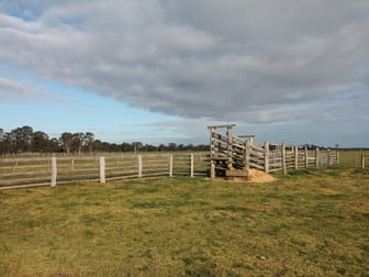 205 Buchanans Road Bairnsdale VIC 3875 - Image 3