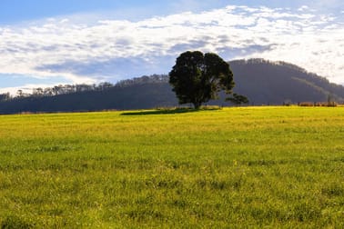495 Comboyne Road Wingham NSW 2429 - Image 2