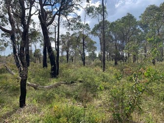 540 Jindong-Treeton Road Kaloorup WA 6280 - Image 2