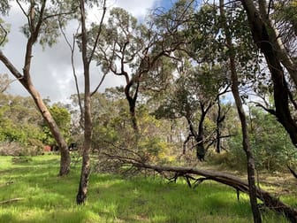 540 Jindong-Treeton Road Kaloorup WA 6280 - Image 3
