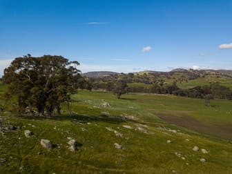 85 Welshs Road Boho VIC 3669 - Image 2