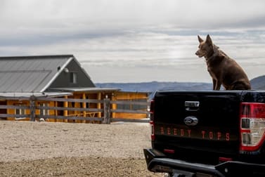 Click to view all images Turondale NSW 2795 - Image 3