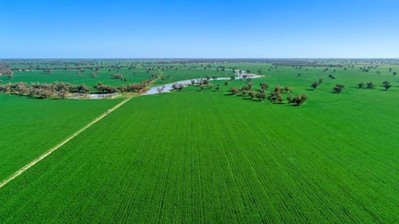 Trangie NSW 2823 - Image 1