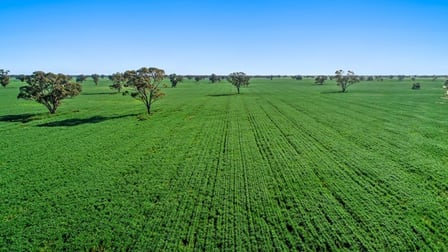 Trangie NSW 2823 - Image 2