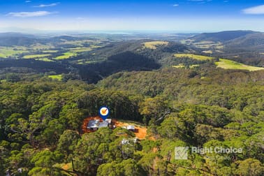 Tongarra NSW 2527 - Image 2