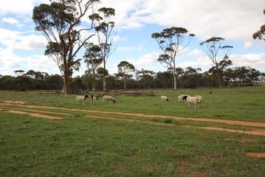 Lot 14047 Talgomine Reserve Road Talgomine WA 6490 - Image 1