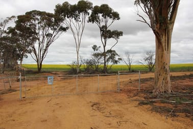 Lot 14047 Talgomine Reserve Road Talgomine WA 6490 - Image 3